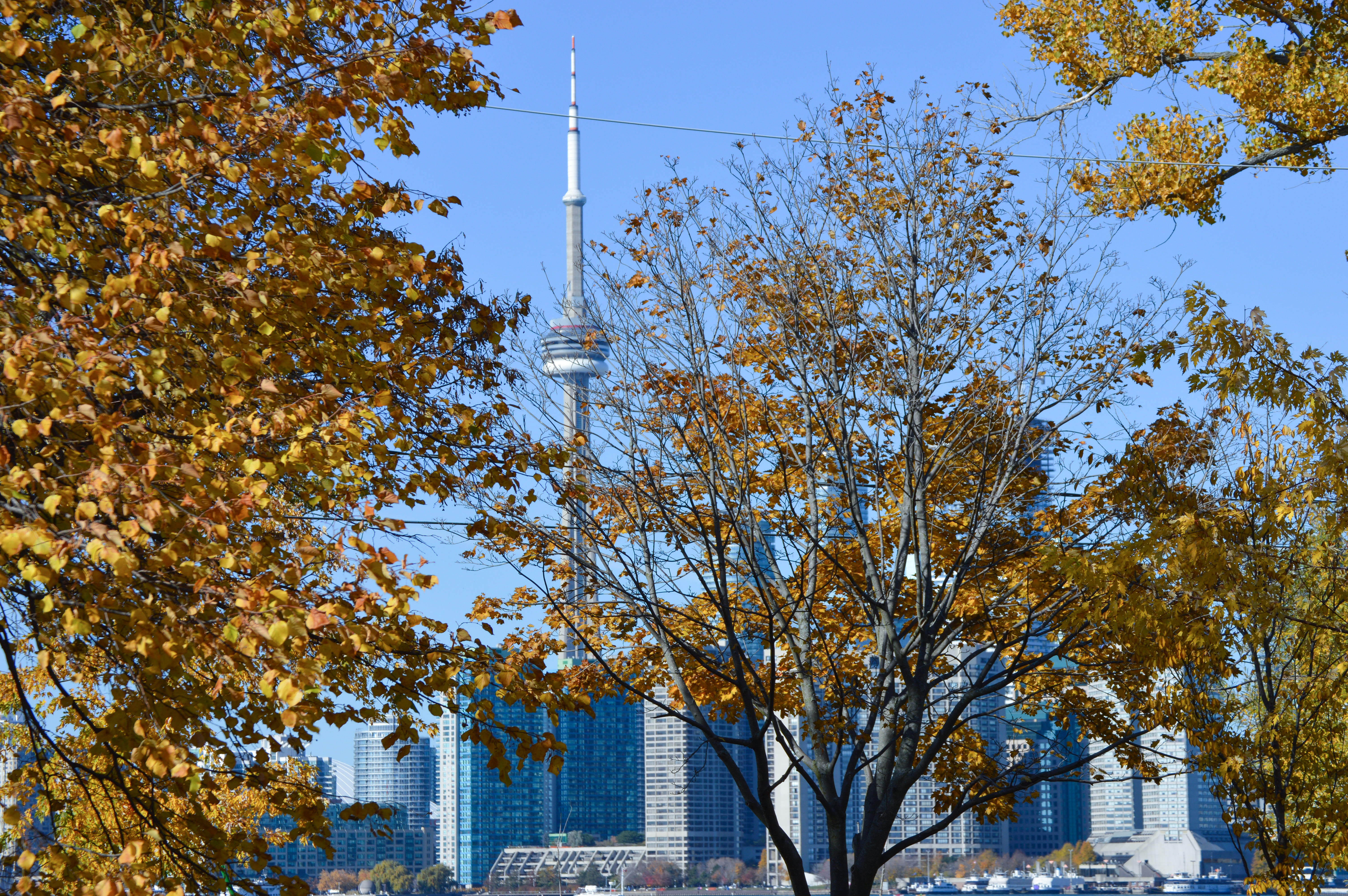 toronto islands - toronto, canada - things to do in toronto