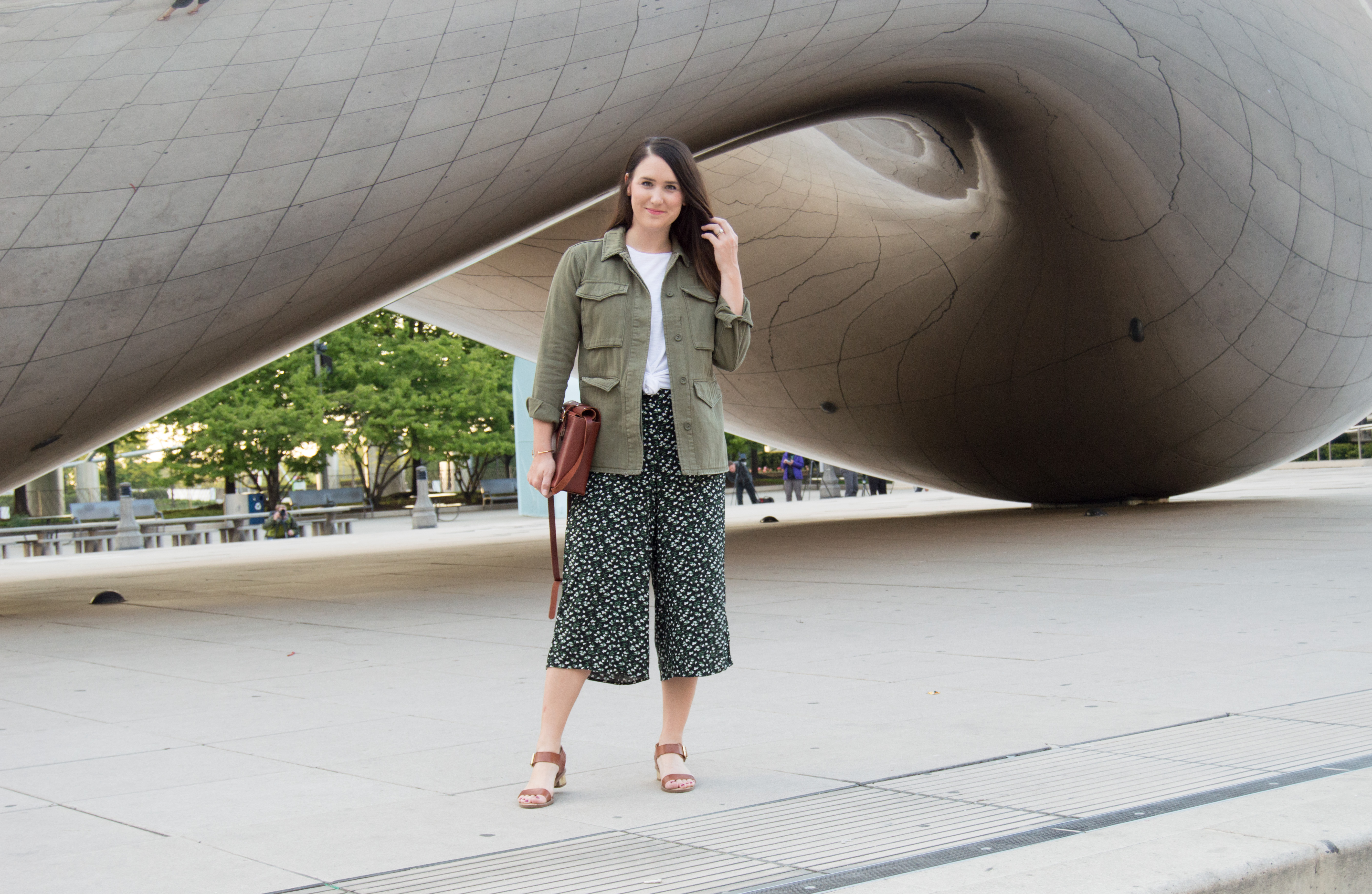 Chicago - millennium park - chicago, illinois - the bean