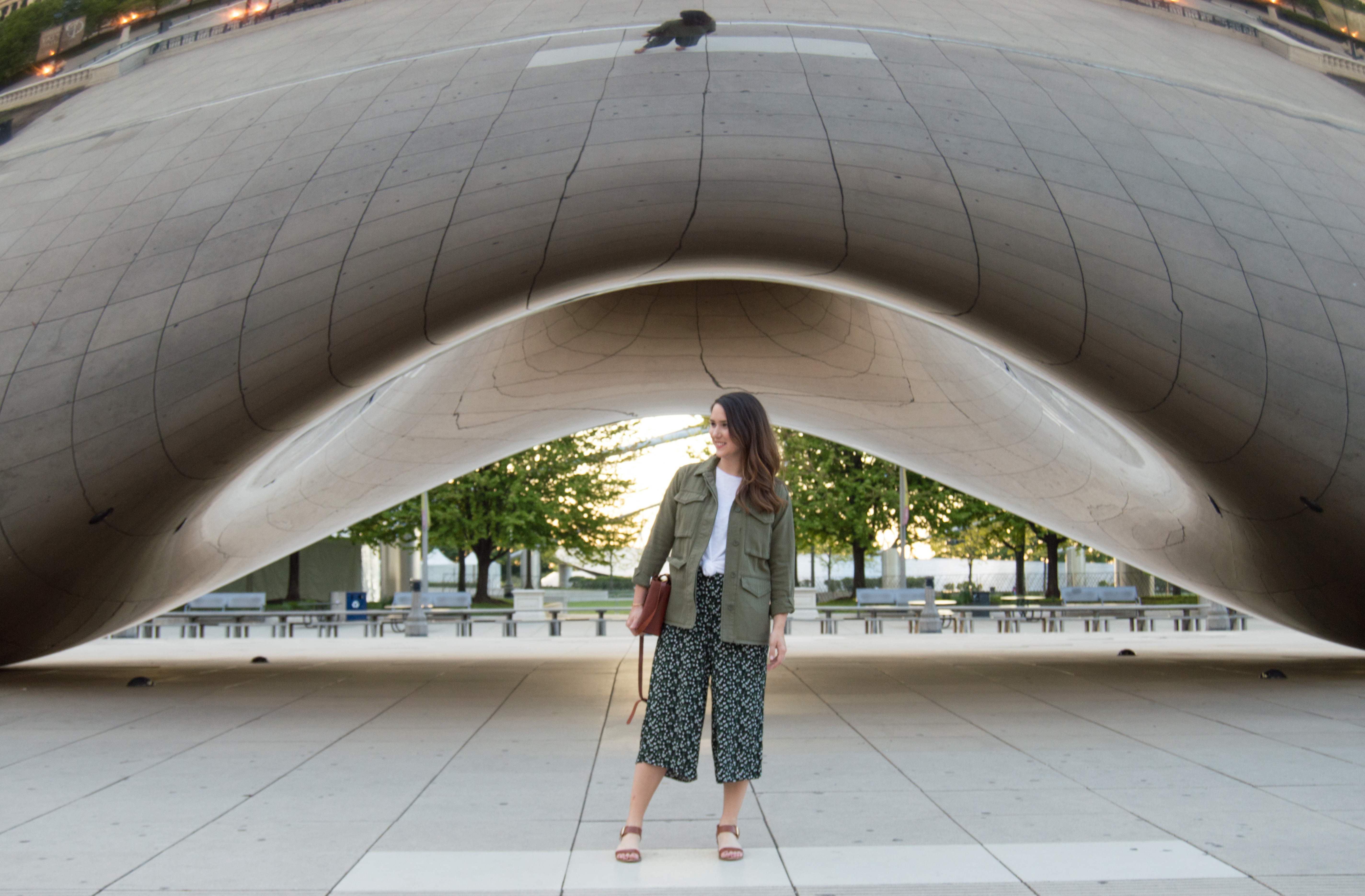 Chicago - millennium park - chicago, illinois - the bean