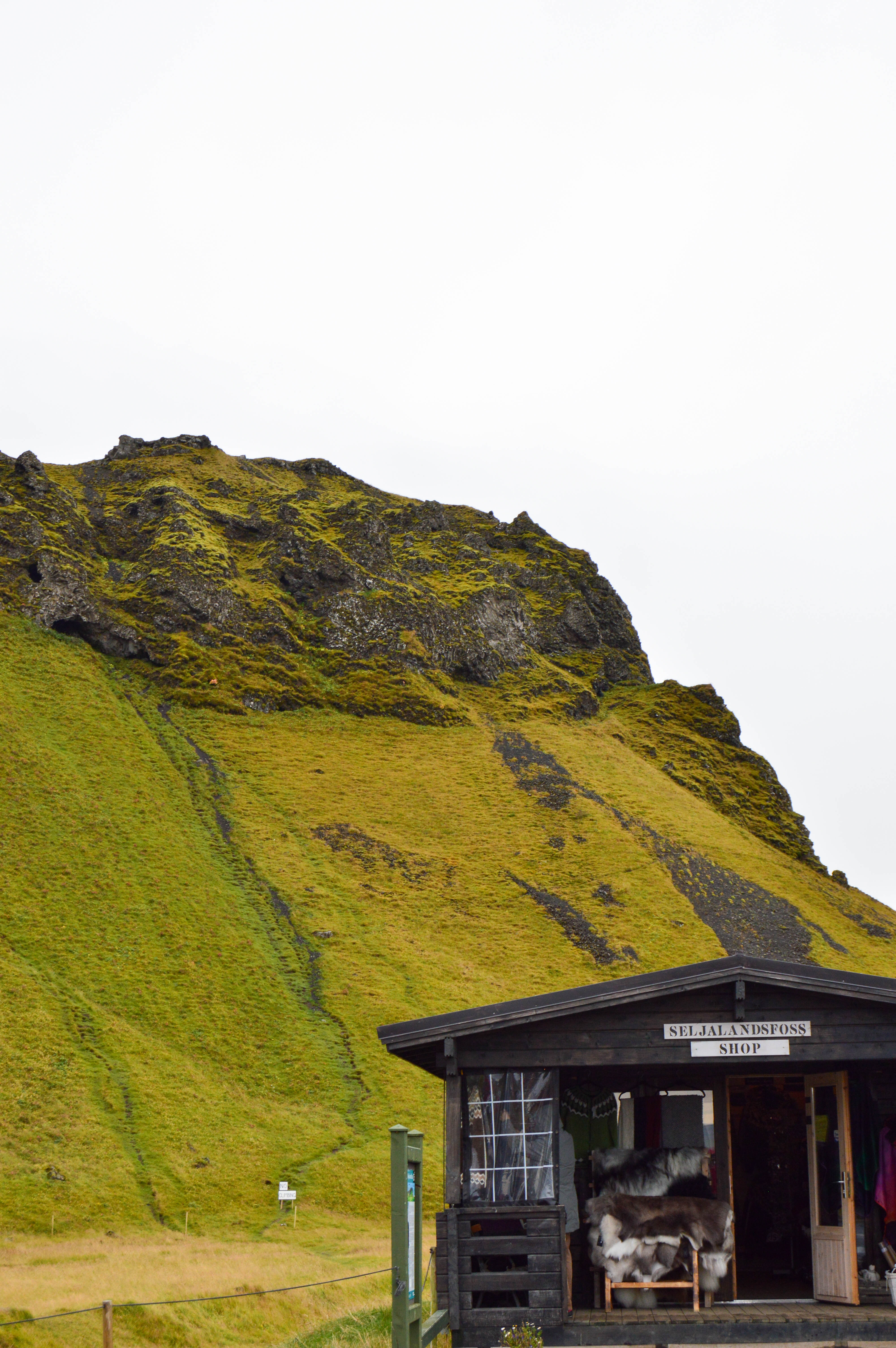 iceland south coast - seljalandsfoss