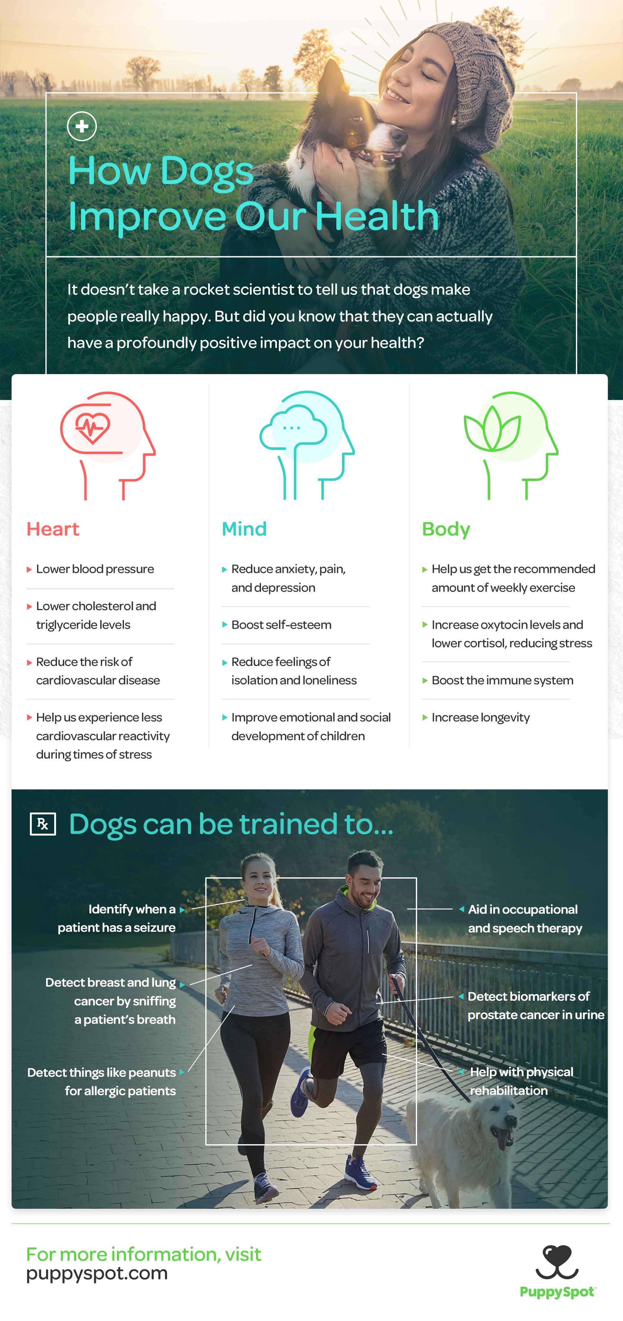 how dogs improve our health