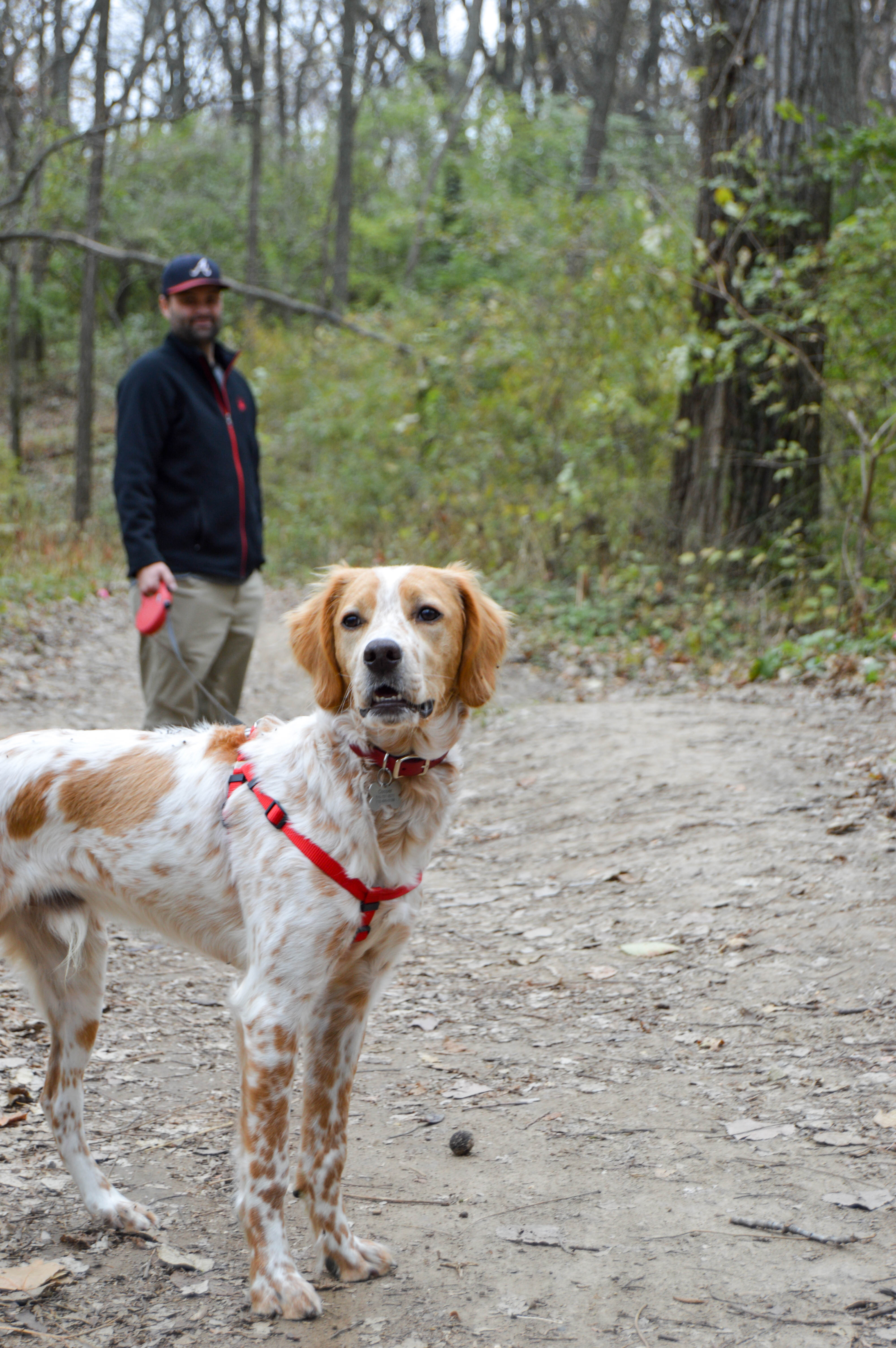 how dogs improve our health